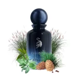 Laverne Champion 100ml con notas olfativas, perfume árabe masculino fougère aromático fresco con bergamota y vetiver